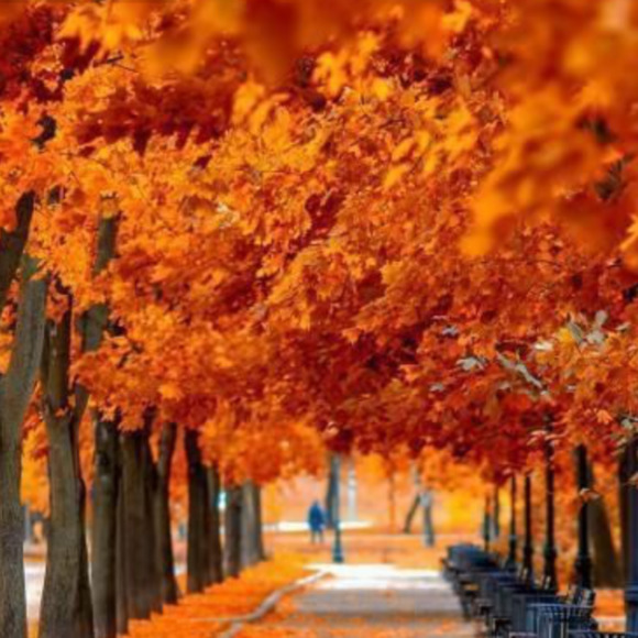allforfall